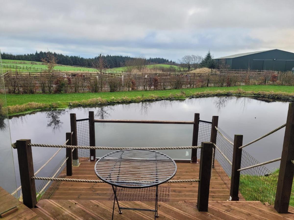 The Cabin At Forestview Farm Greenisland Luaran gambar